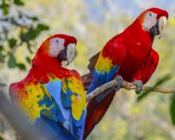 It is sad to say that a wide range of illegal acti It is sad to say that a wide range of illegal activities is taking place including clearing of land for grazing cattle, illegal fishing and hunting, a